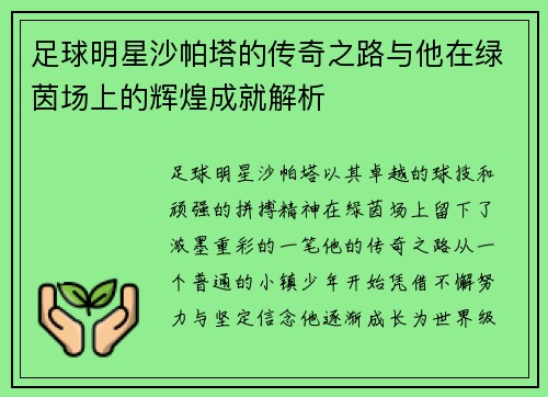 足球明星沙帕塔的传奇之路与他在绿茵场上的辉煌成就解析
