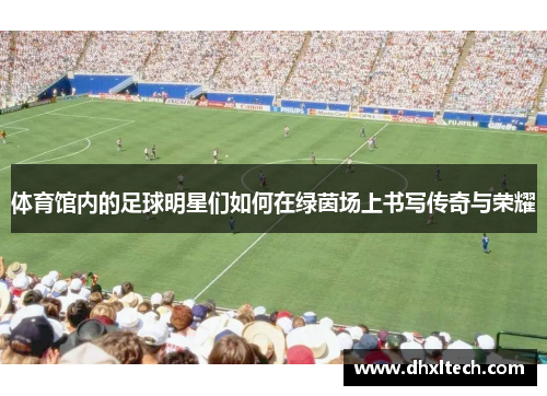 体育馆内的足球明星们如何在绿茵场上书写传奇与荣耀
